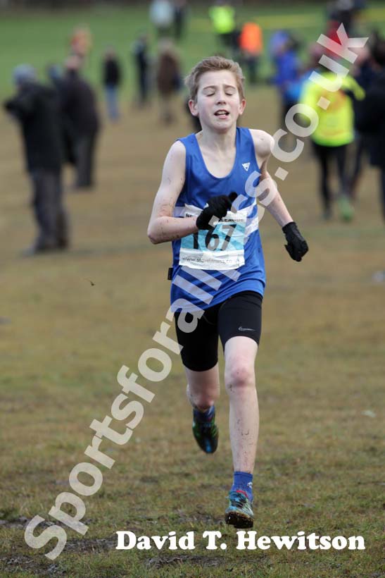 Blue 167 Start First North East Harrier League,  Jarrow.